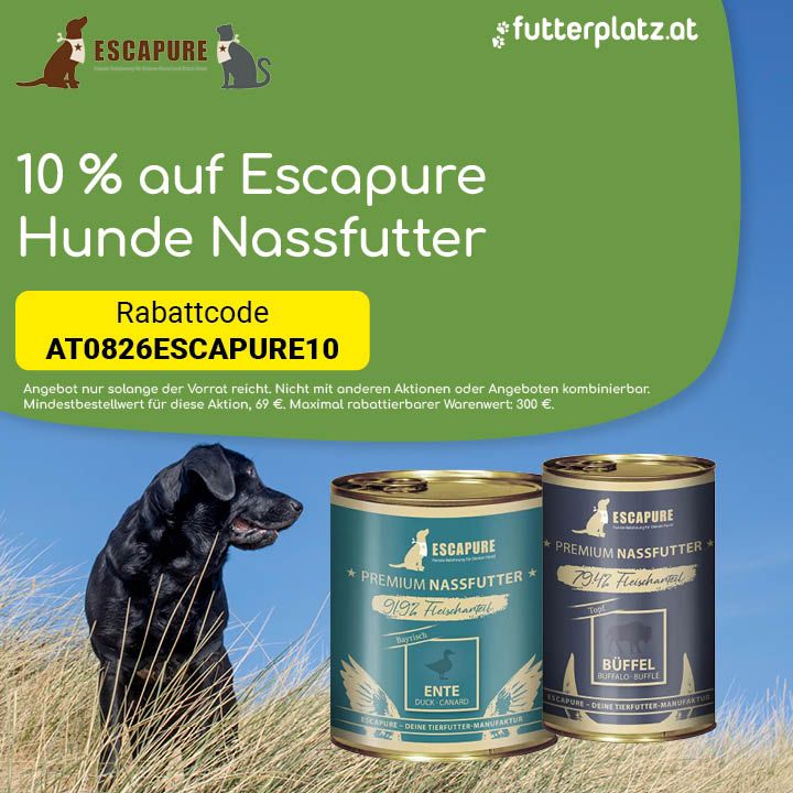 Sliderbild-2