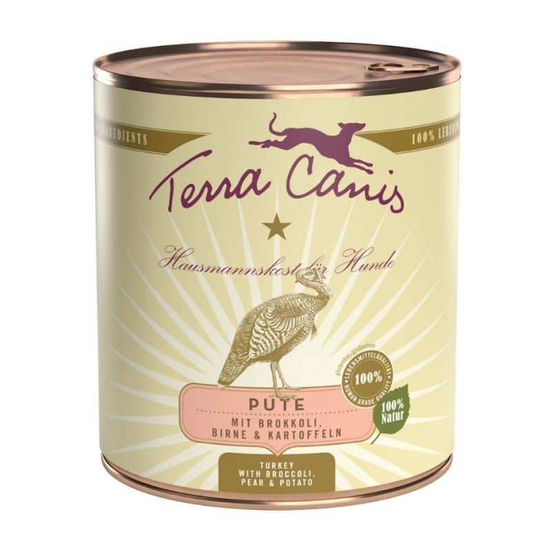 Terra Canis Classic - Lachs mit Hirse, Pfirsich & Kräutern | 6 x 800 g