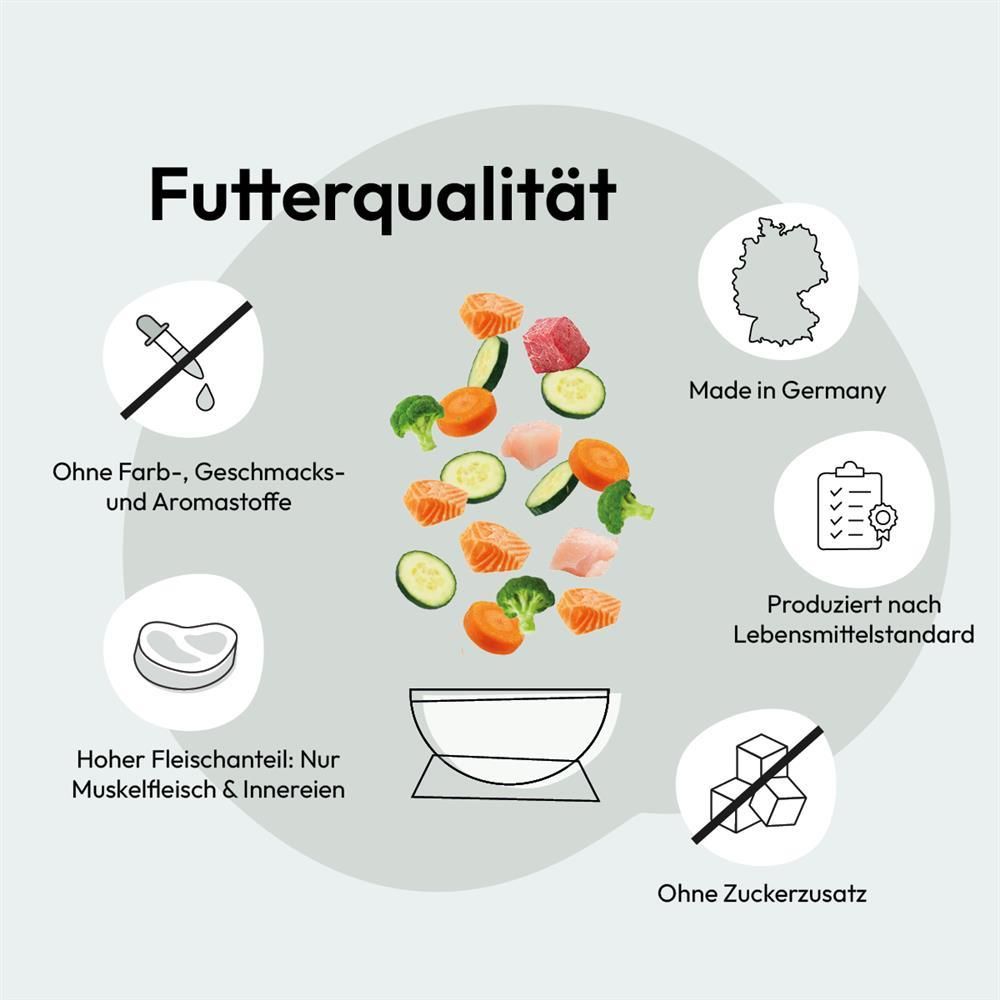 Grau Katze Geflügel & Lachs mit Superfoods | 2 kg