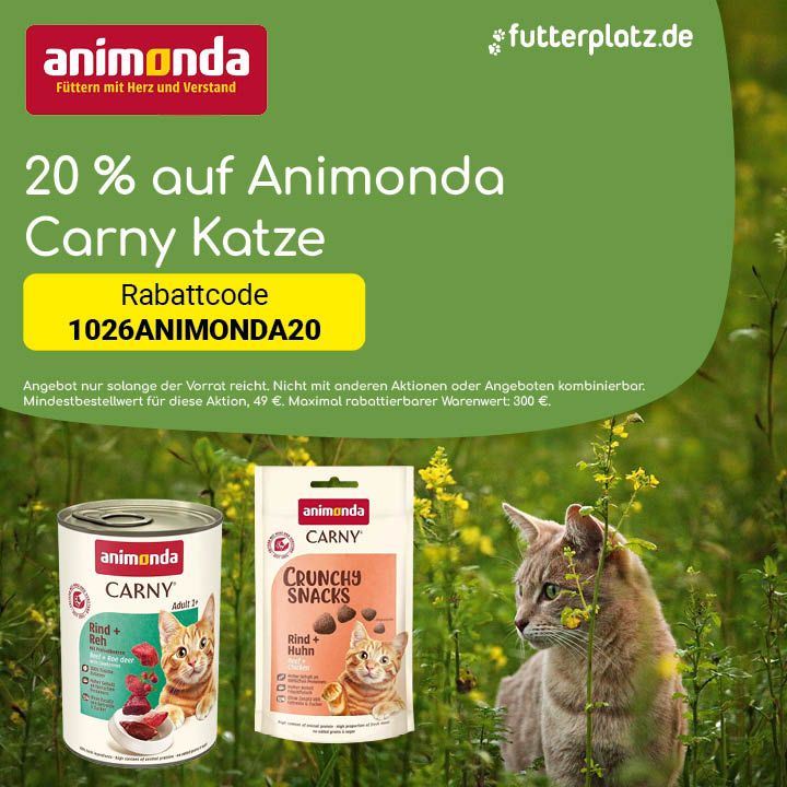 Sliderbild-3