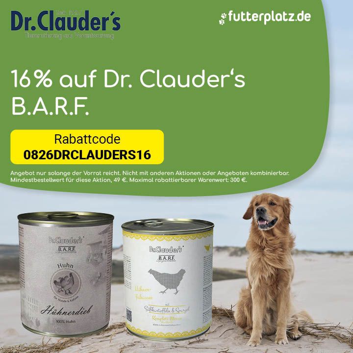 Sliderbild-4