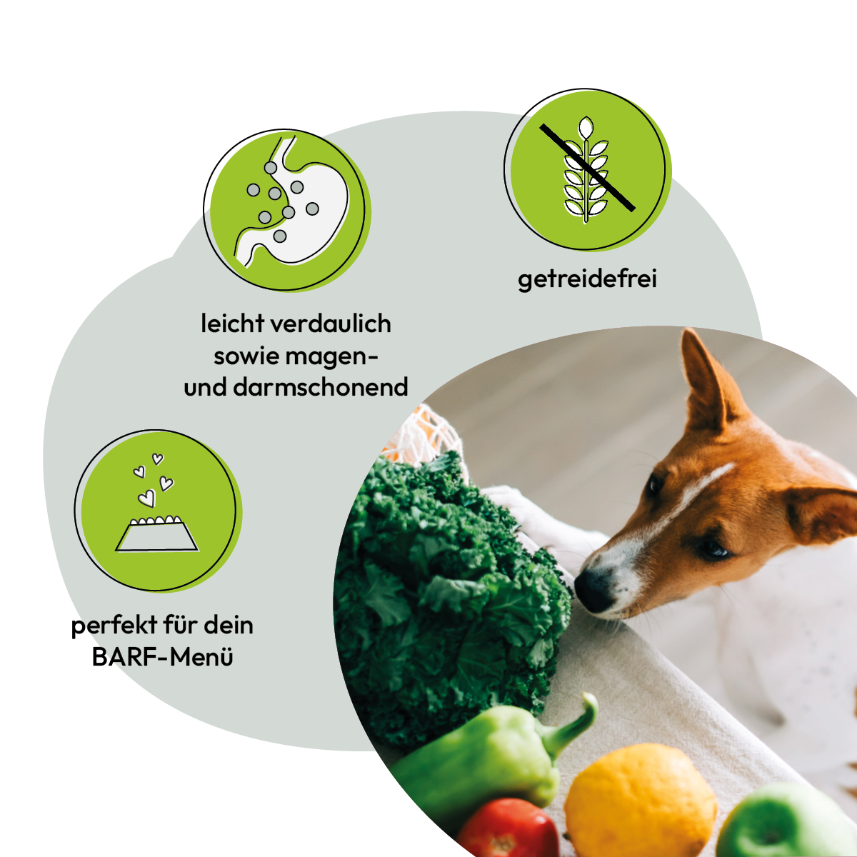 Grau Hund Gemüsemix Mischung Nr. 1 | 1,2 kg