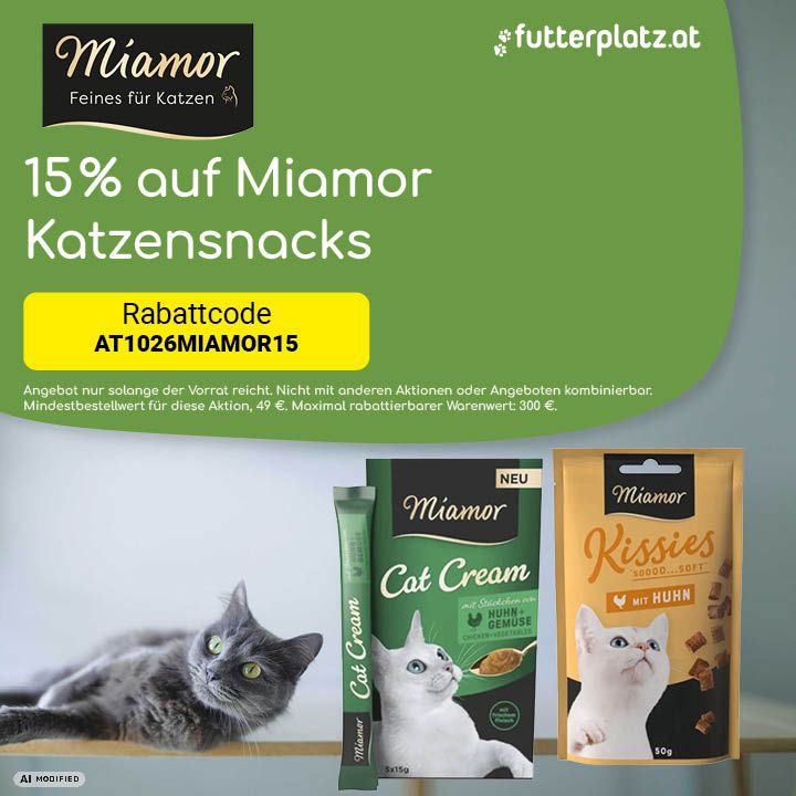 Sliderbild-4