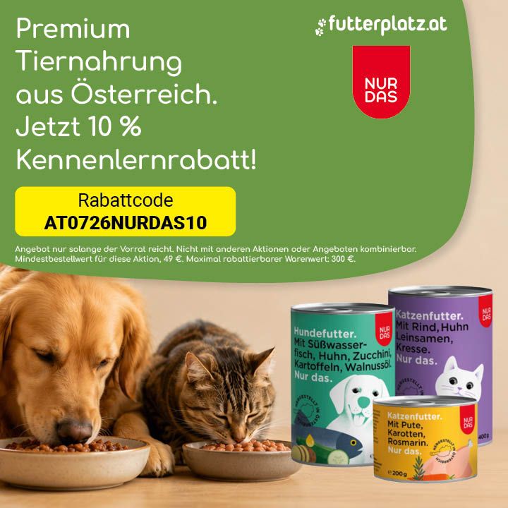 Sliderbild-3