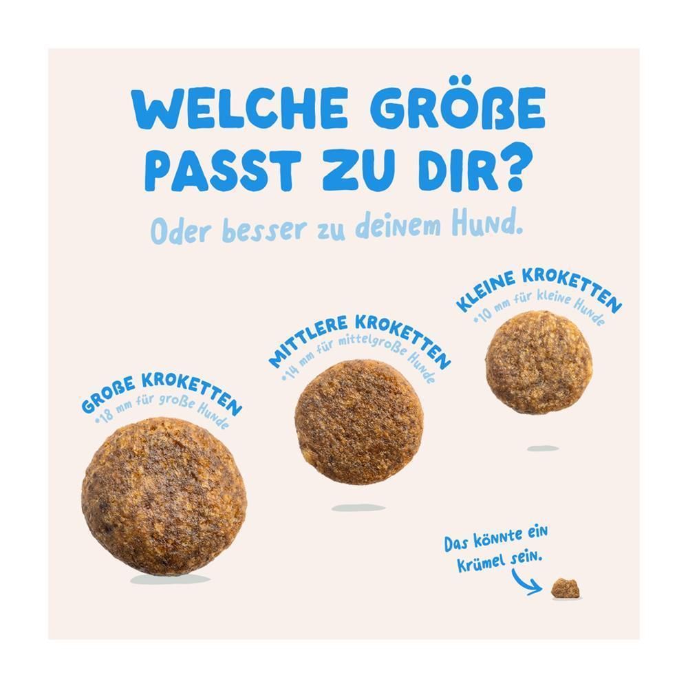 Edgard & Cooper Adult - Frischer Lachs (Medium) | 2,5 kg
