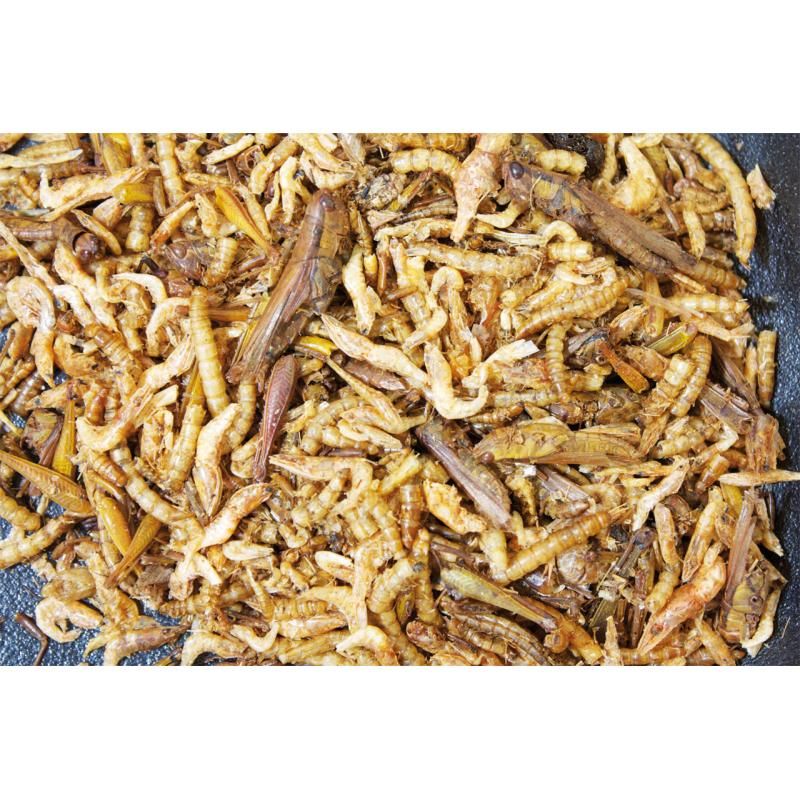 JR Farm Eiweiß-Cocktail Dose