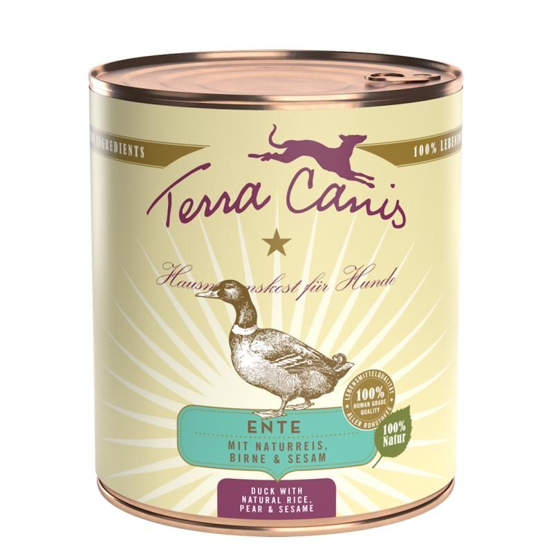 Terra Canis Classic - Lachs mit Hirse, Pfirsich & Kräutern | 6 x 800 g