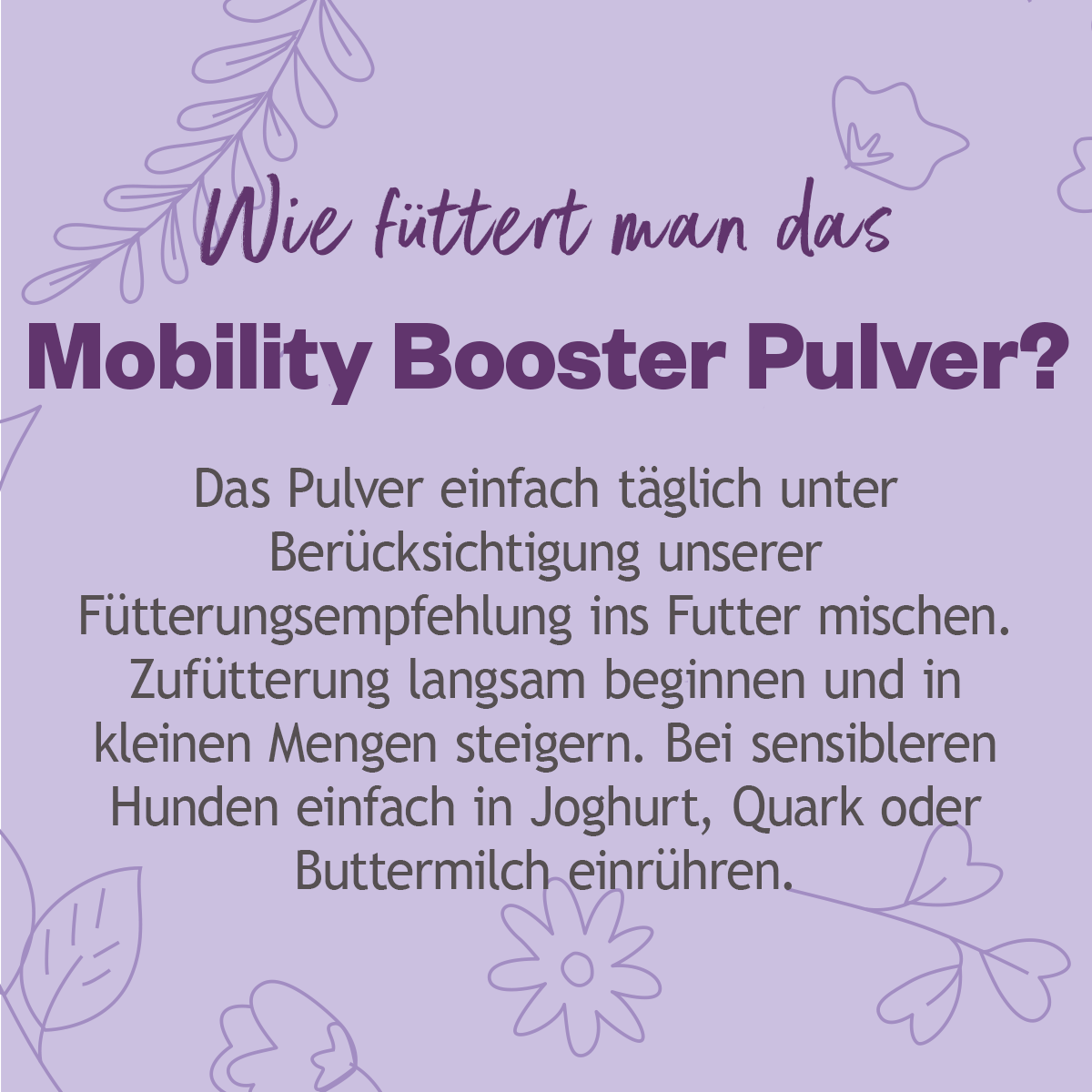 Grau Hund Hokamix30 Mobility Pulver | 150 g