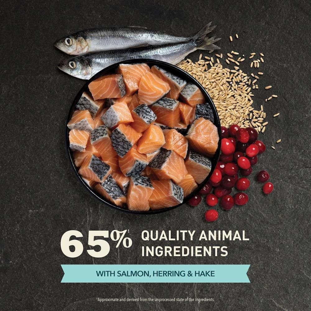 Acana Cat Bountiful Catch | 2 x 4,5 kg