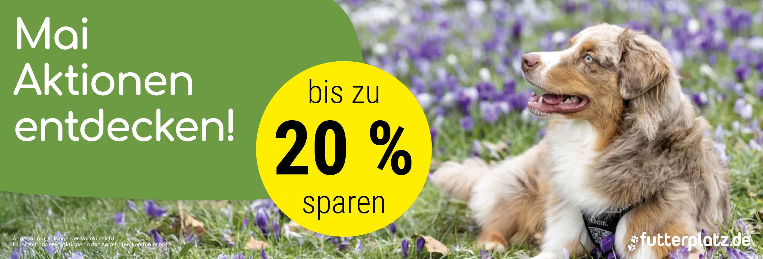 Sliderbild-6