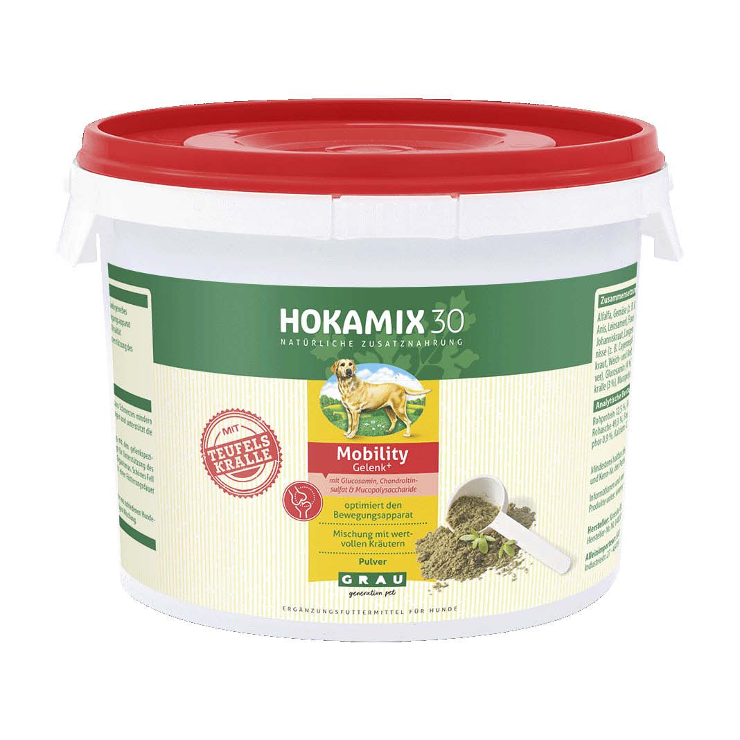 Grau Hund Hokamix30 Mobility Pulver