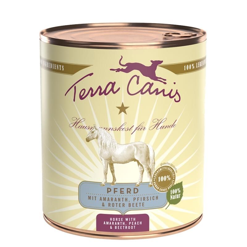 Terra Canis Classic - Lachs mit Hirse, Pfirsich & Kräutern | 6 x 800 g