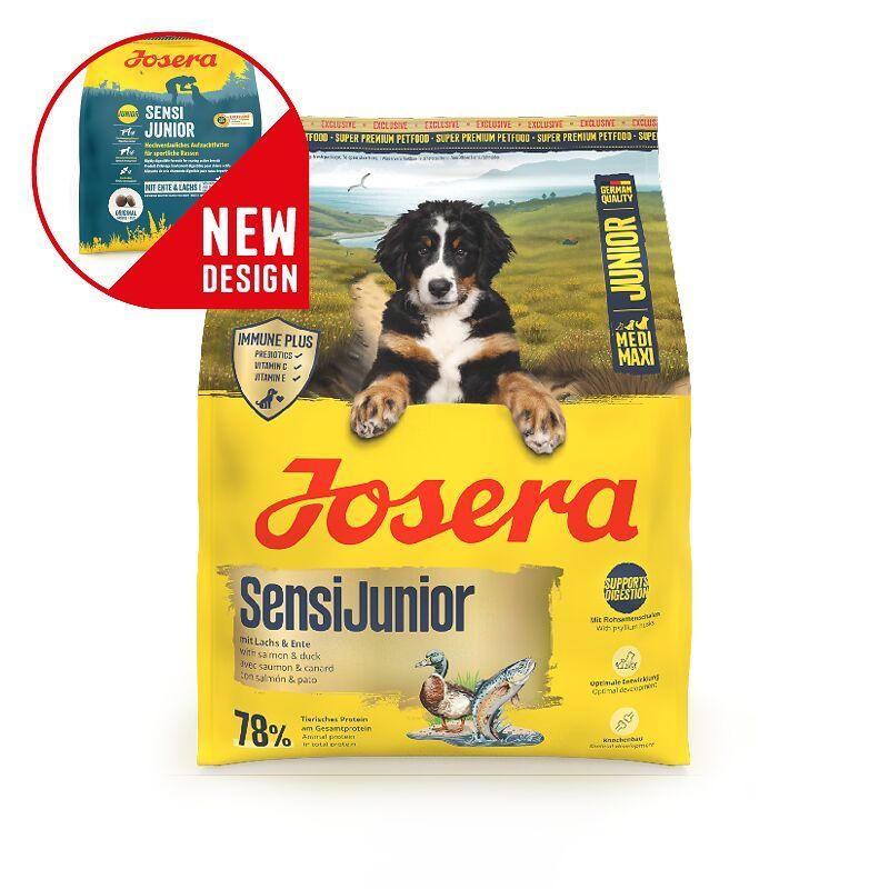 keramik halsband für hunde Bernsteinkette mit EM-Keramik für Hunde main image 1