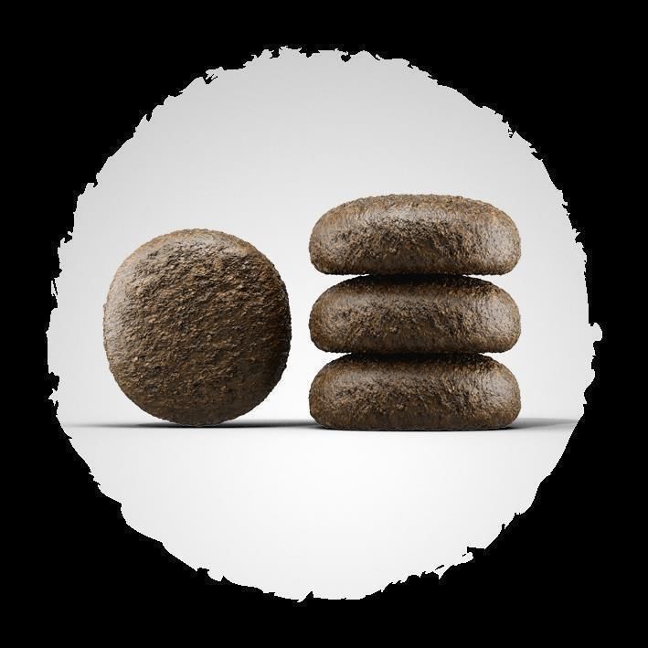 Josera Festival | 3 kg
