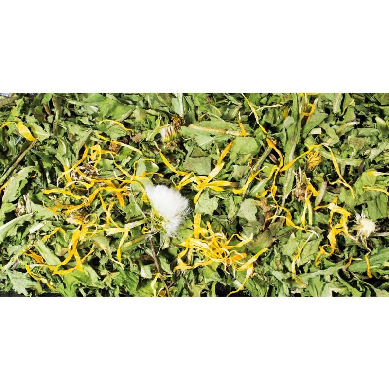 JR Farm Löwenzahn | 10 x 500 g