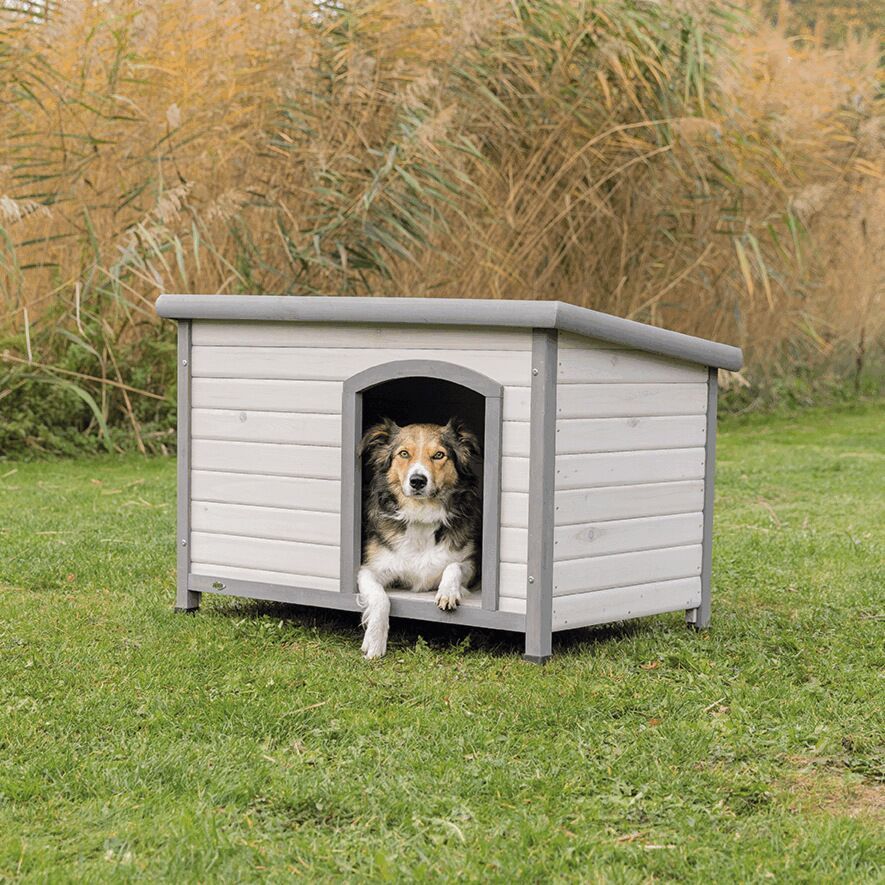 Trixie Grau Natura Hundehütte Classic Flachdach (Hundehütte), Hundehütte - Image 5
