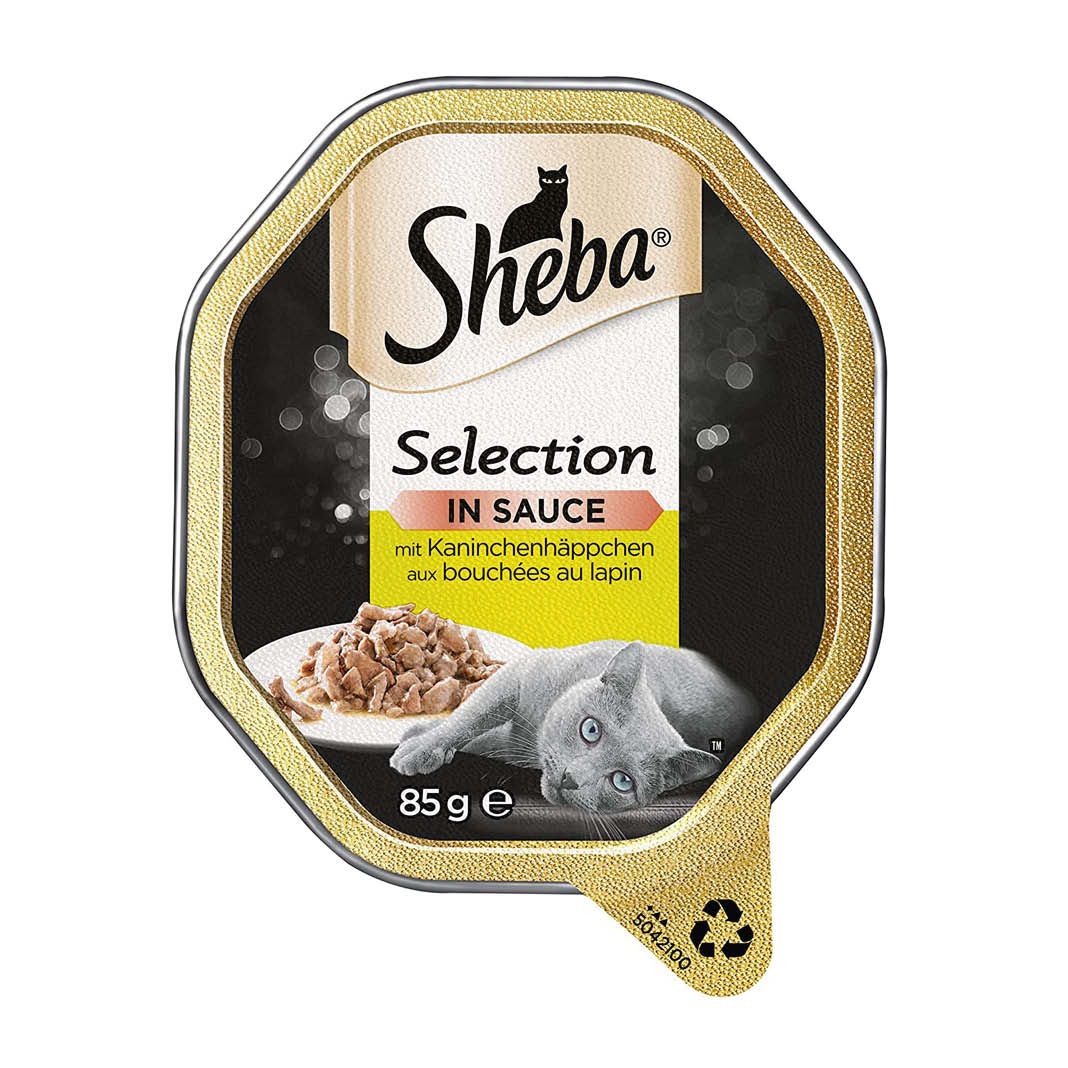 Jungfrau Lautsprecher Erwachsen Sheba Selection In Sauce Lachs Denken Sie Voraus