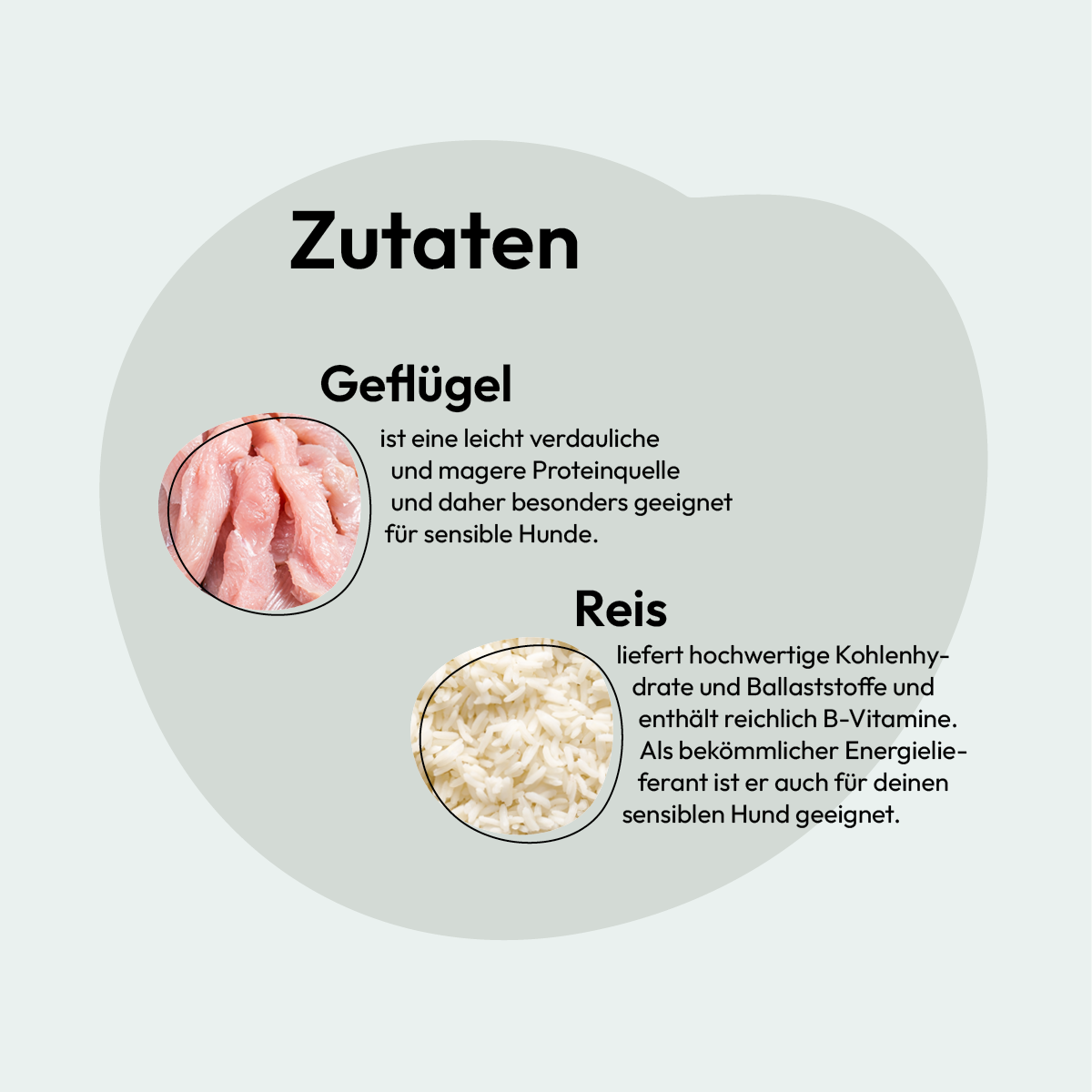 Grau Hund Geflügel | 2 x 12 kg
