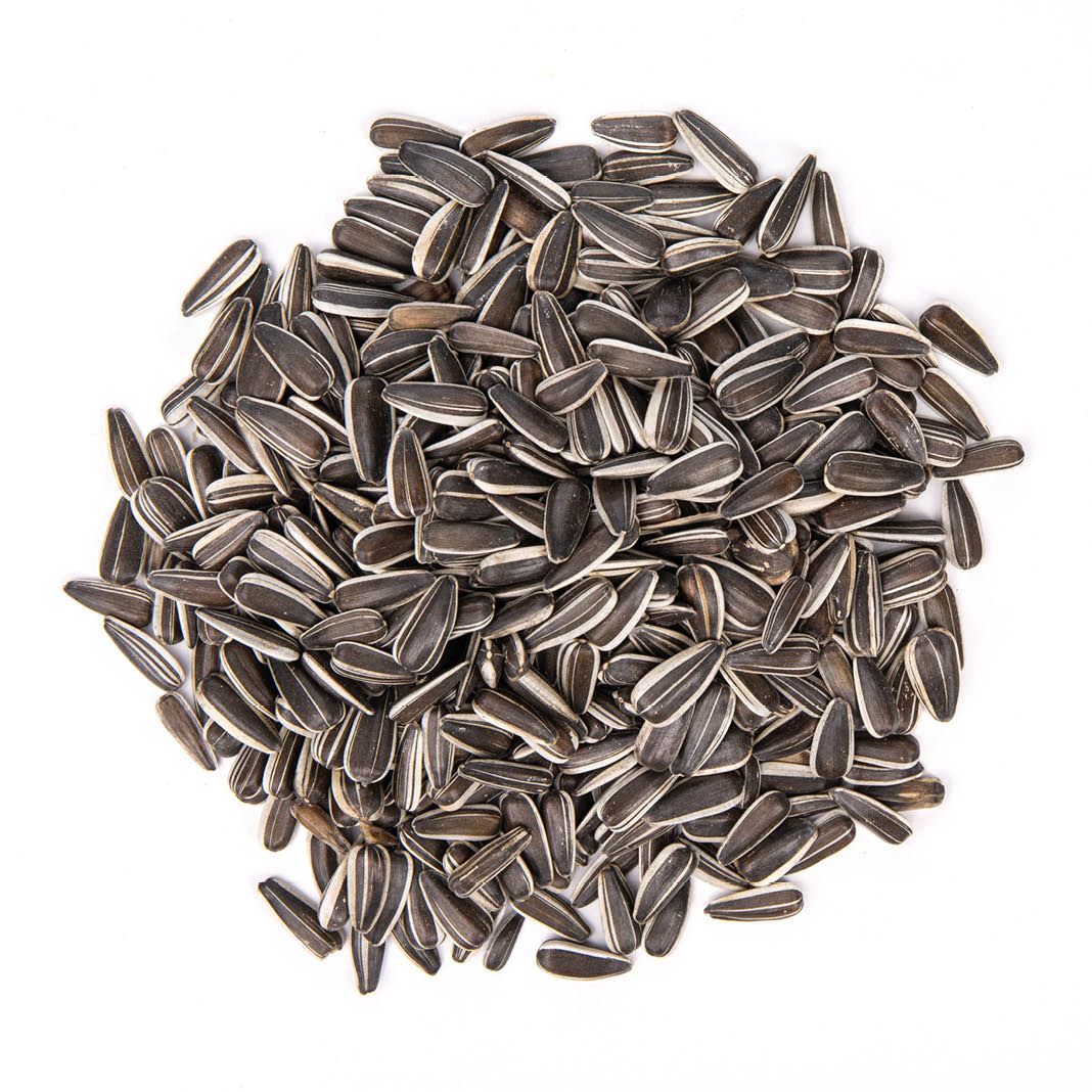 Pick up Sonnenblumenkerne, gestreift