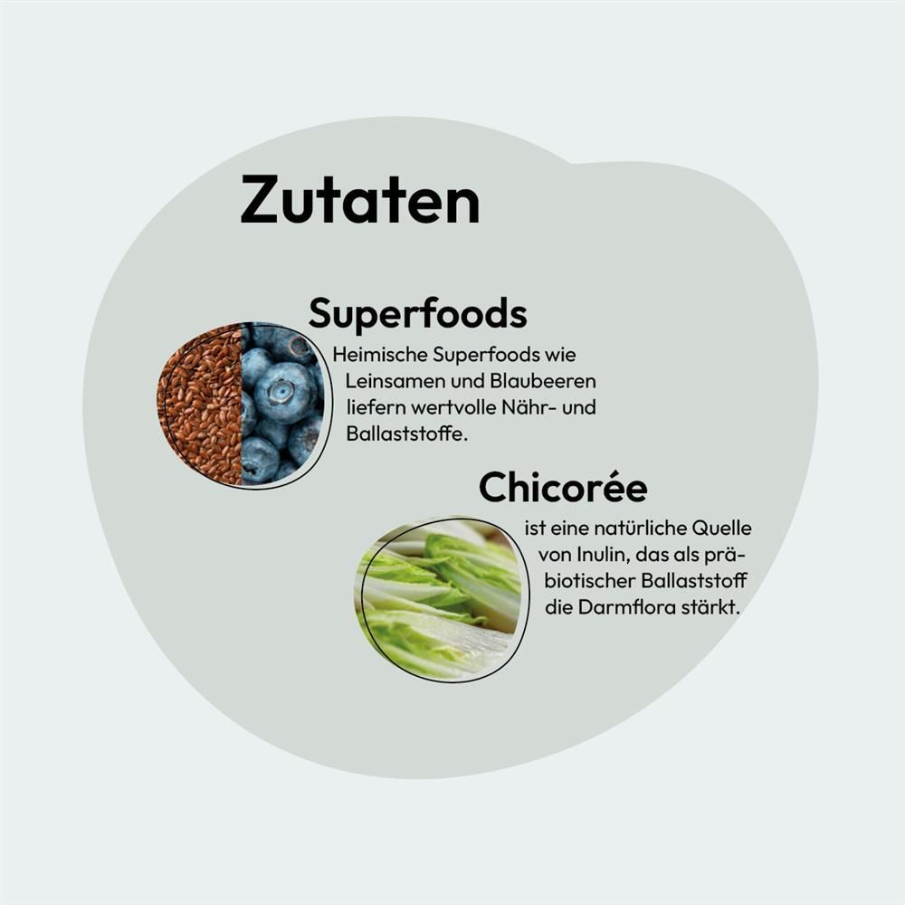 Grau Katze Geflügel & Lachs mit Superfoods | 2 kg