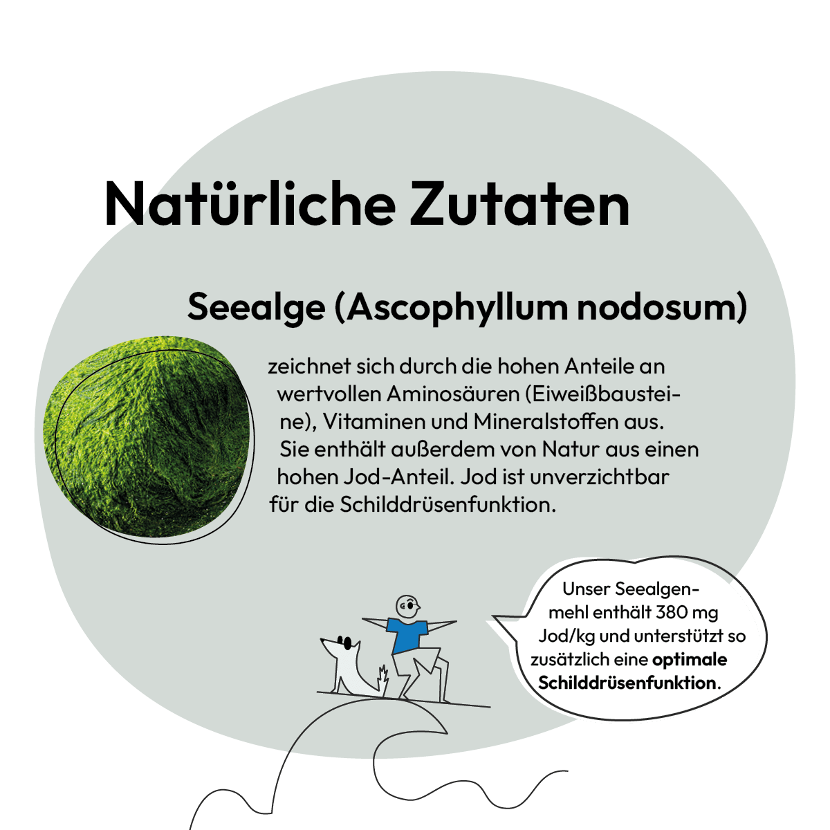 Grau Hund & Katze Seealgenmehl | 200 g