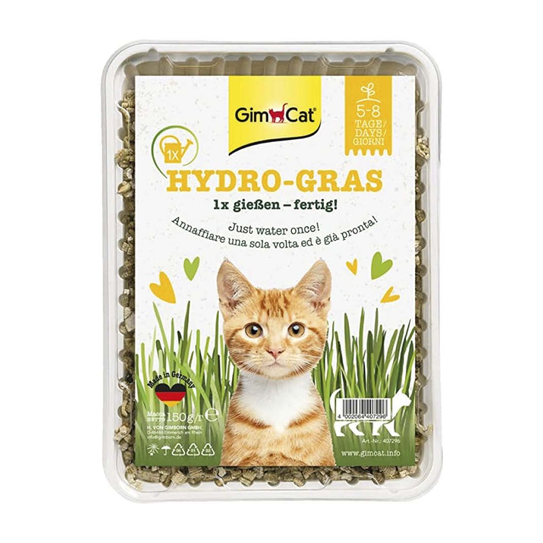 Gimcat Grün/Licht Hydro-Gras | 150 G - Image 6
