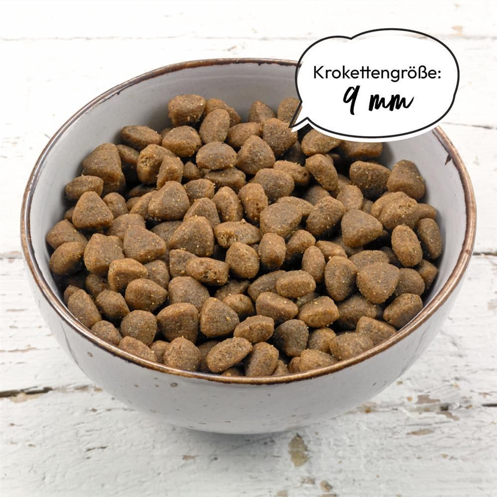 Grau Katze Geflügel & Lachs mit Superfoods | 2 kg