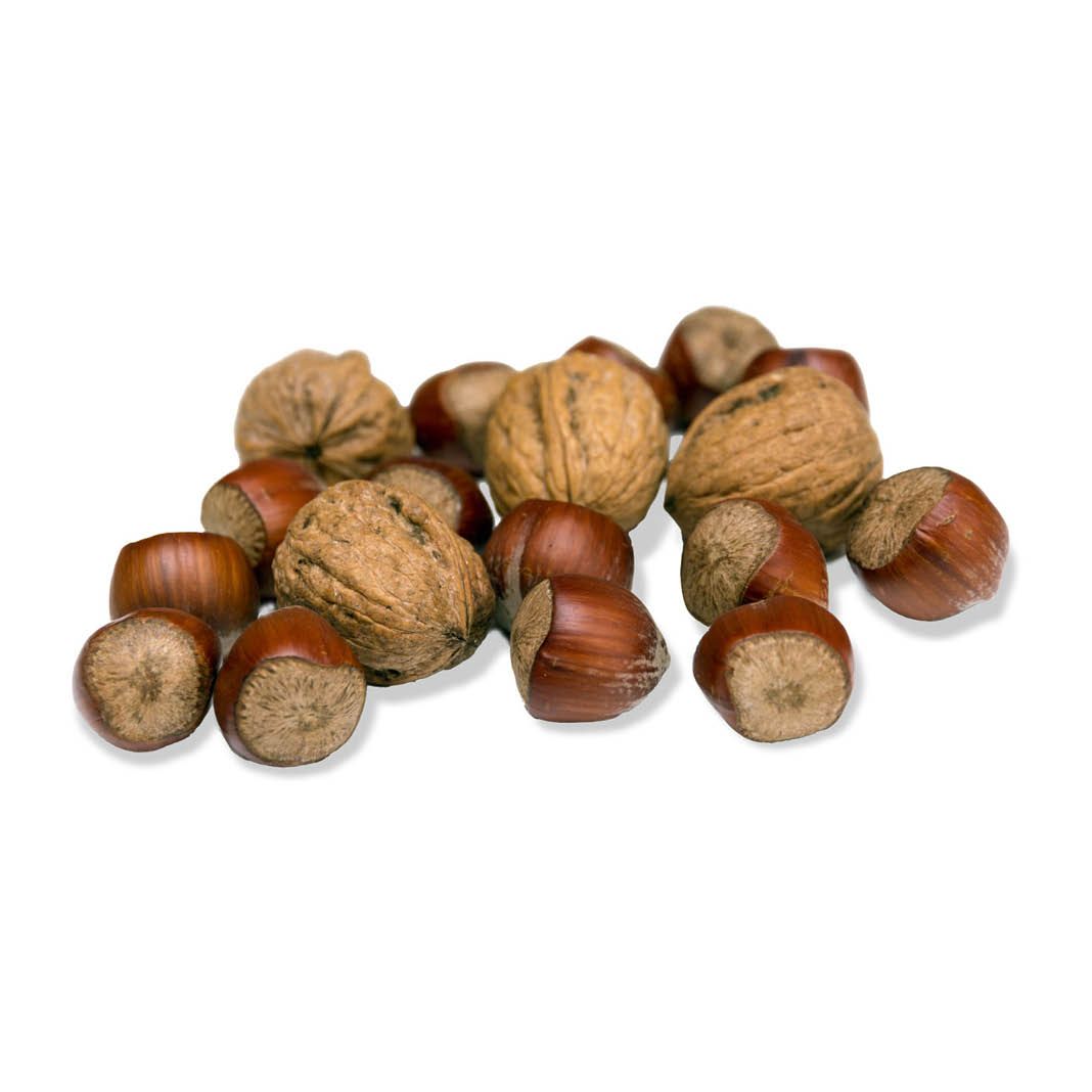 JR Garden Eichhörnchen-Knack