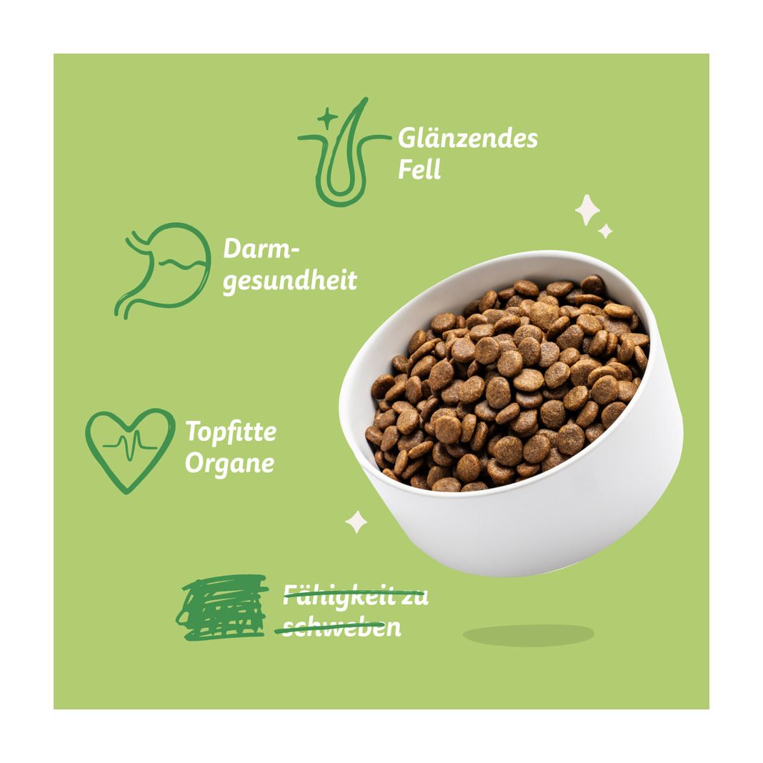 Edgard & Cooper Adult - Frisches Lamm (Small) | 700 g