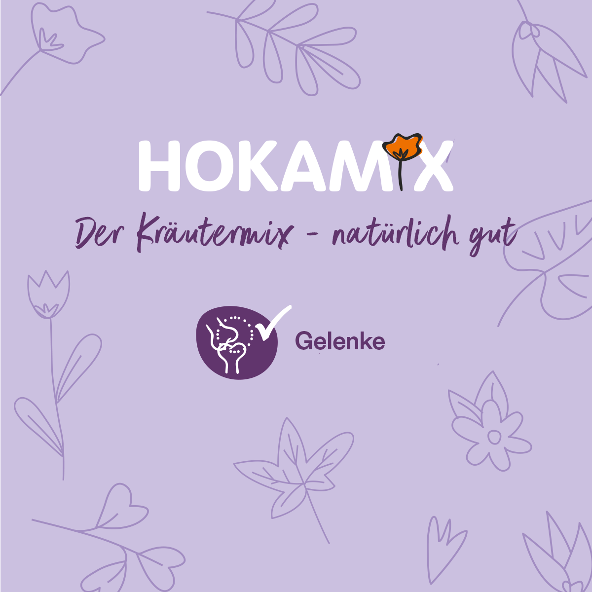 Grau Hund Hokamix30 Mobility Tabletten | 190 Stück