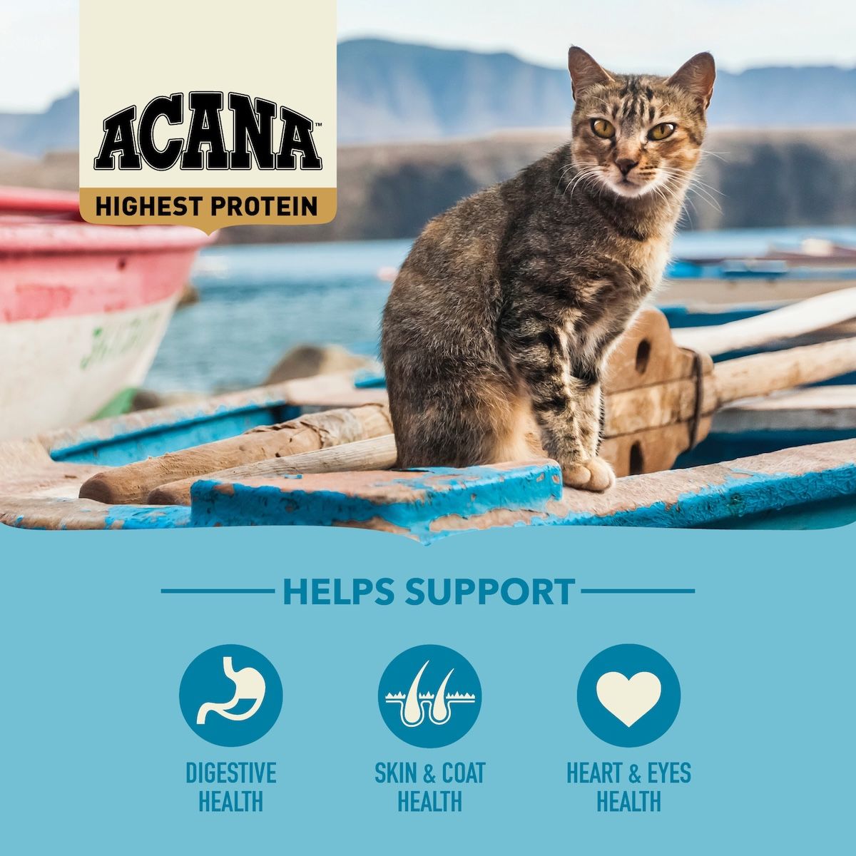 Acana Cat Pacifica | 340 g