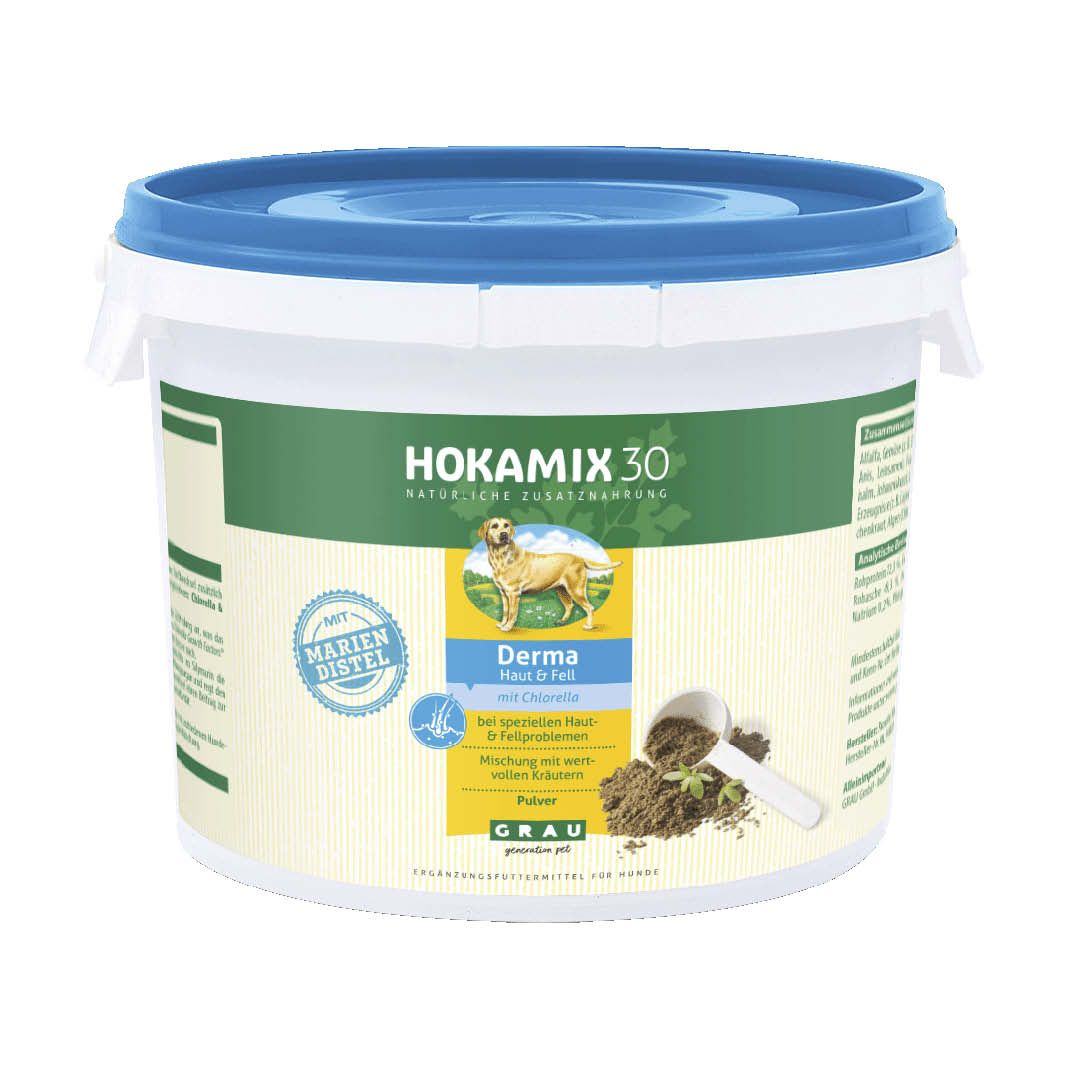 Grau Hund Hokamix30-Derma