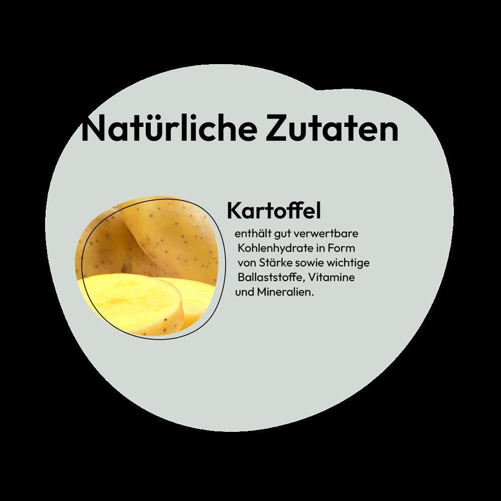 Grau Hund Kartoffel-Flocken | 500 g