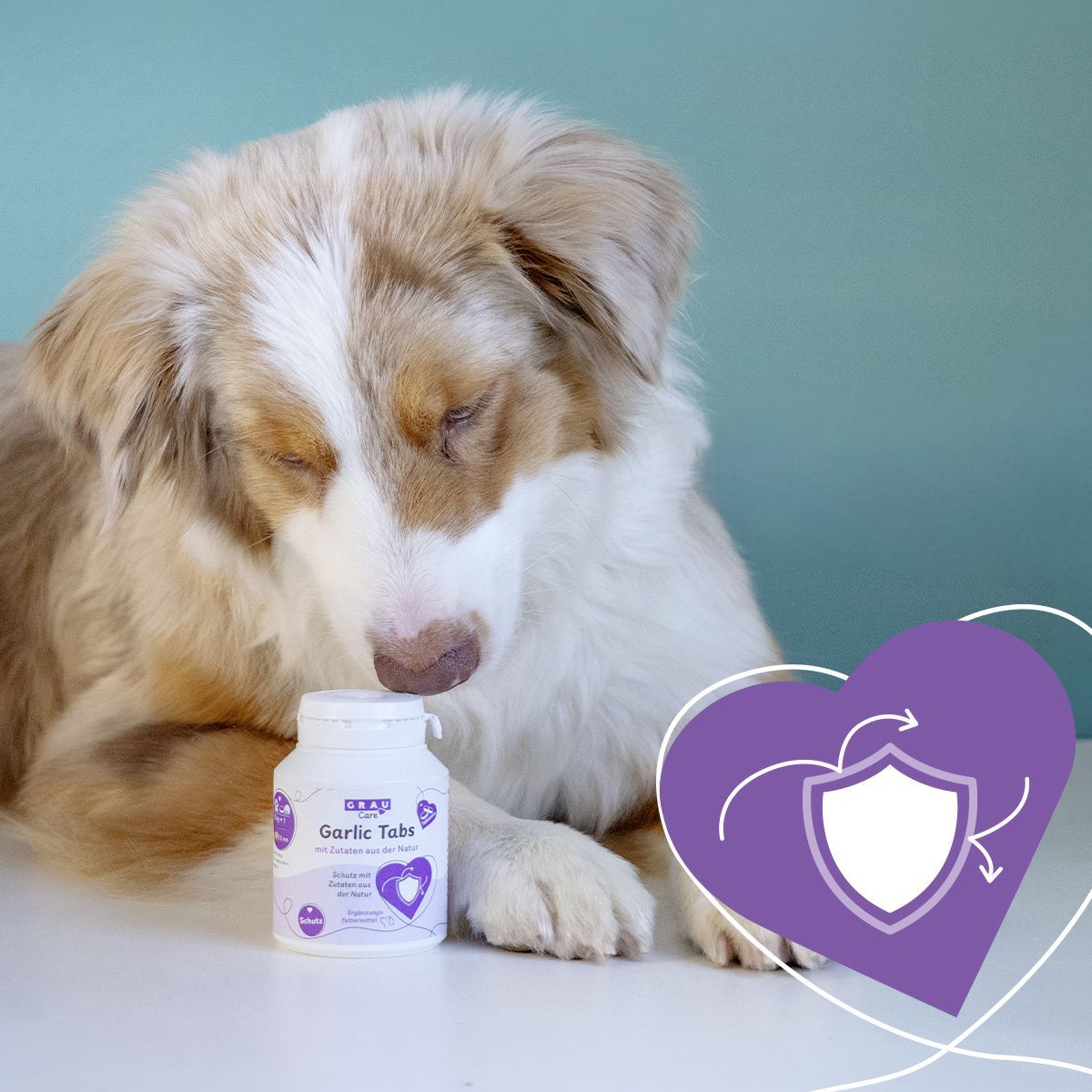 Grau Hund & Katze Knoblauch Tabletten | 200 Stück