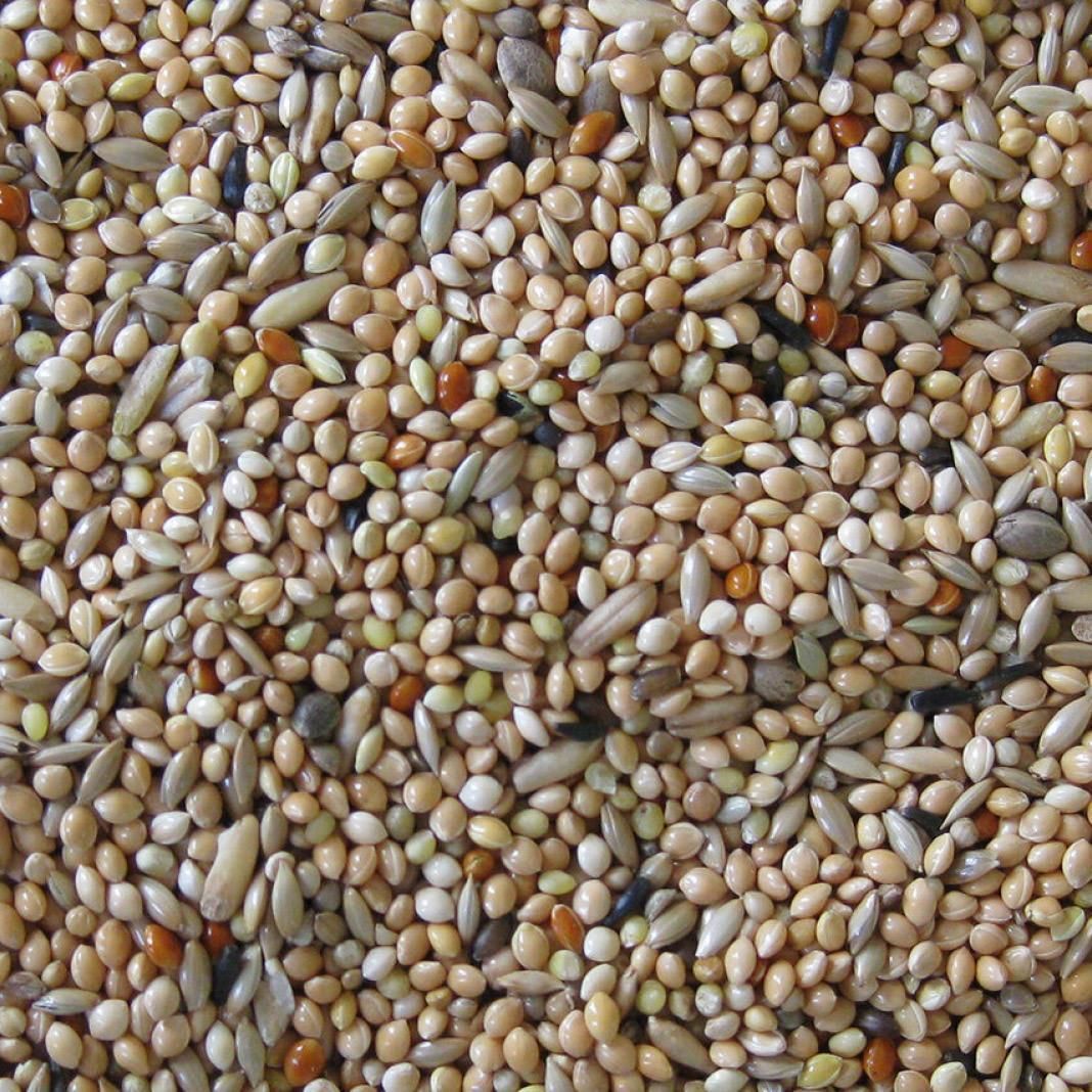 Deli Nature Wellensittichfutter | 4 kg