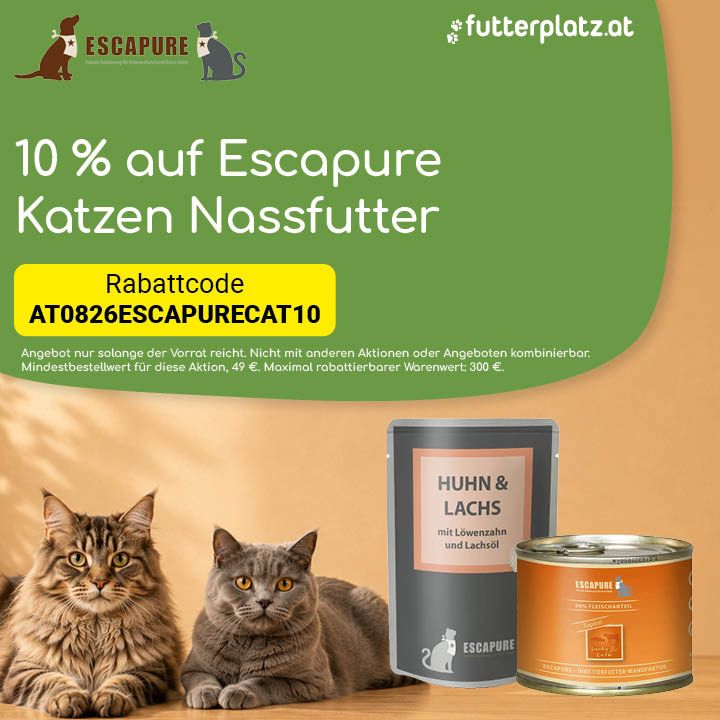 Sliderbild-3