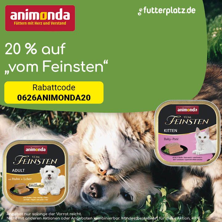 Sliderbild-4