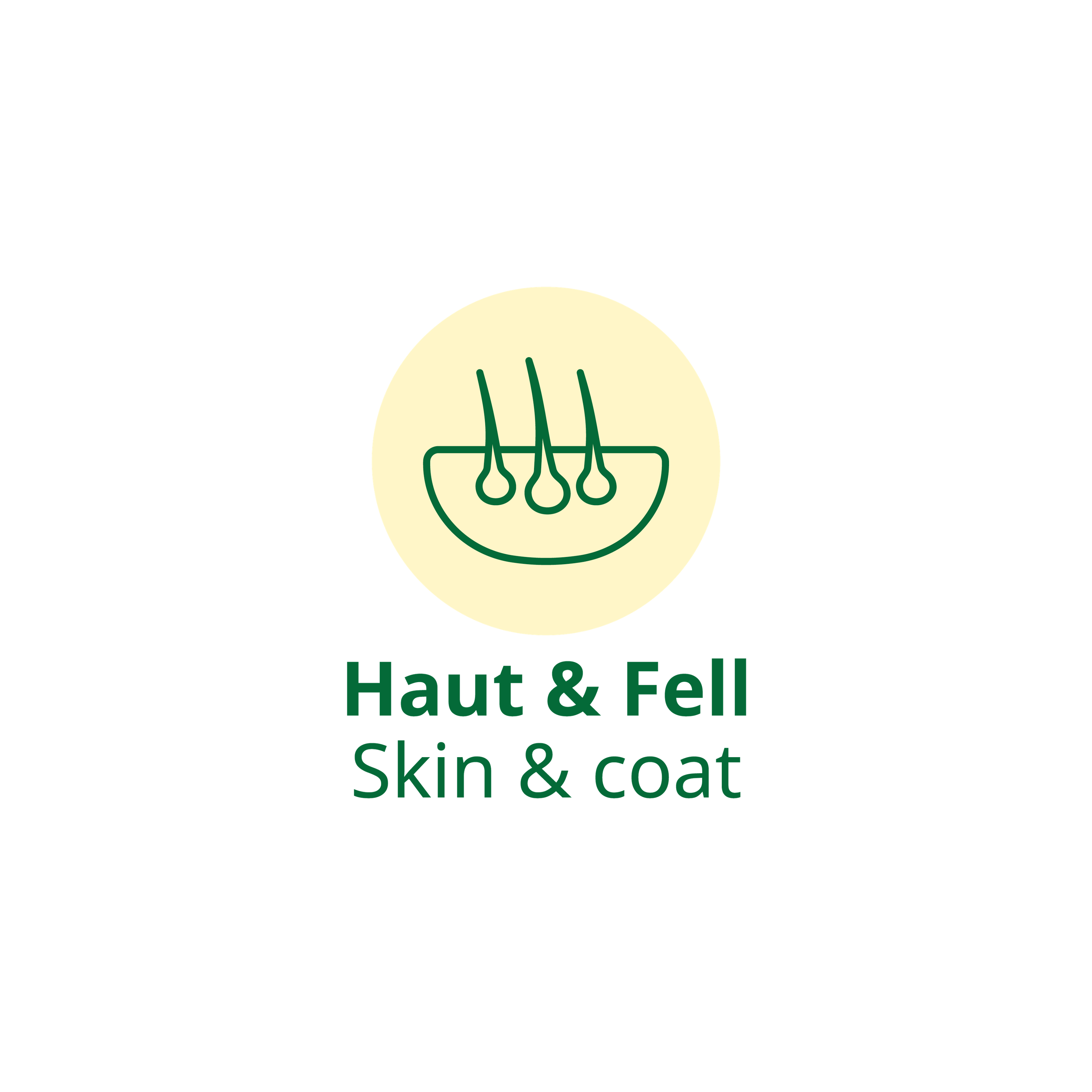 Icon Haut & Fell