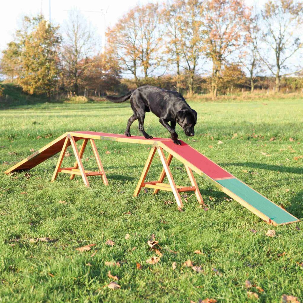 TRIXIE Fun Agility Steg | 456 x 64 x 30 cm