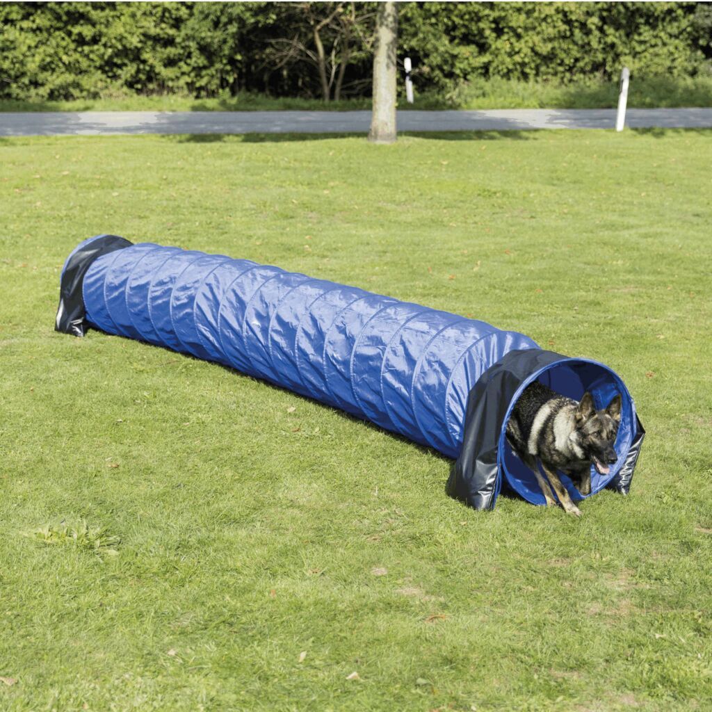 TRIXIE Fun Agility Basic Tunnel, blau, 5m | ø 60 cm
