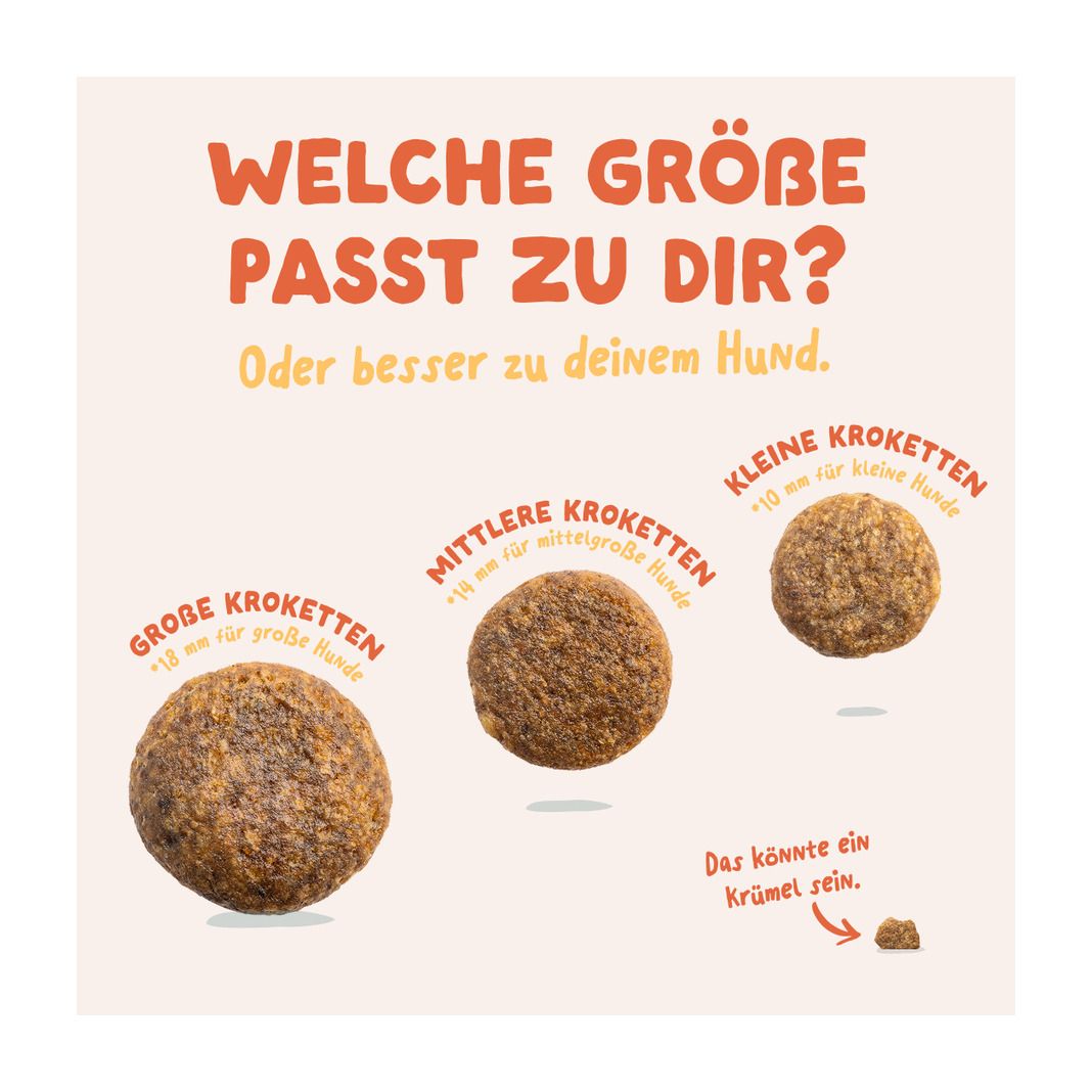 Edgard & Cooper Adult - Frisches Freilaufhuhn mit Mango | 700 g