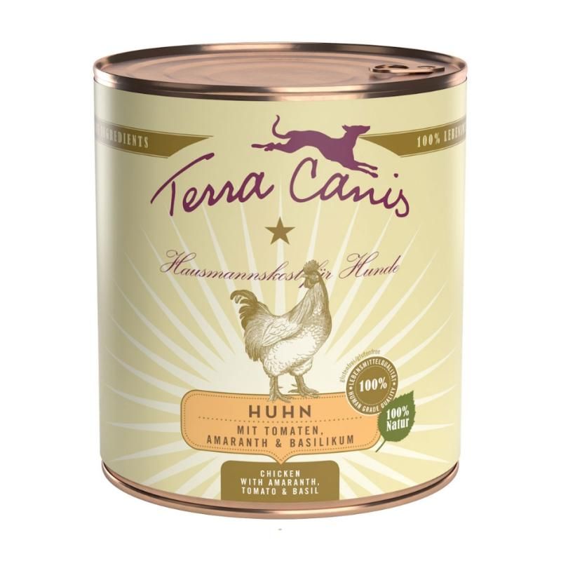 Terra Canis Classic - Lachs mit Hirse, Pfirsich & Kräutern | 6 x 800 g