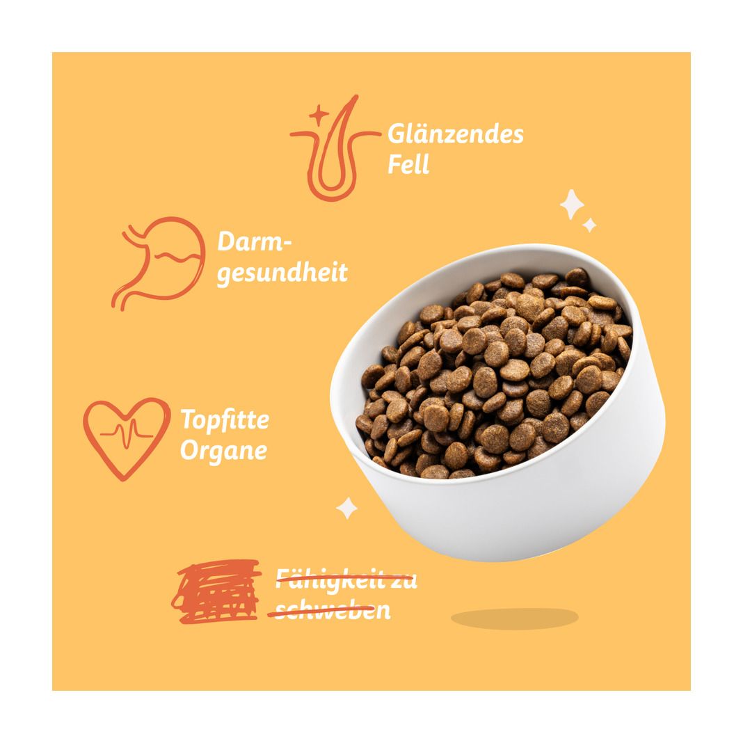 Edgard & Cooper Adult - Frisches Freilaufhuhn mit Mango | 700 g