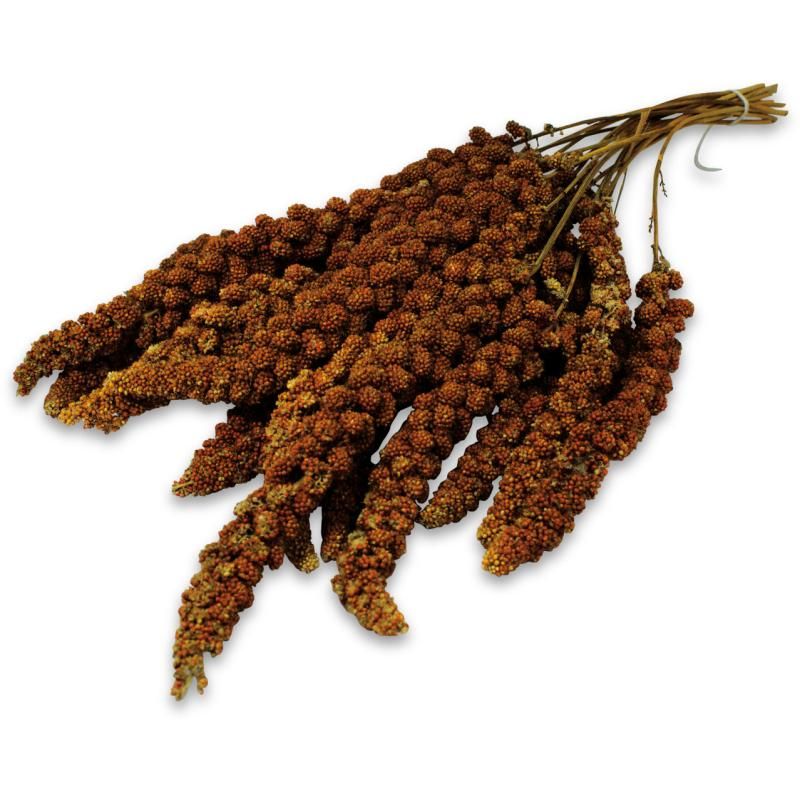 JR Birds Kolbenhirse rot | 25 x 500 g