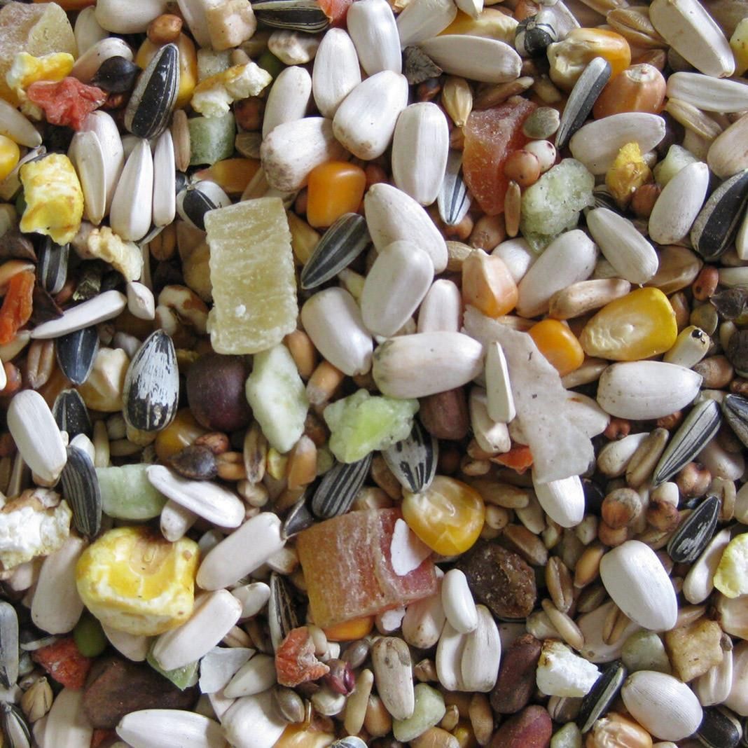 Deli Nature Papageienfutter mit Obst | 3 kg