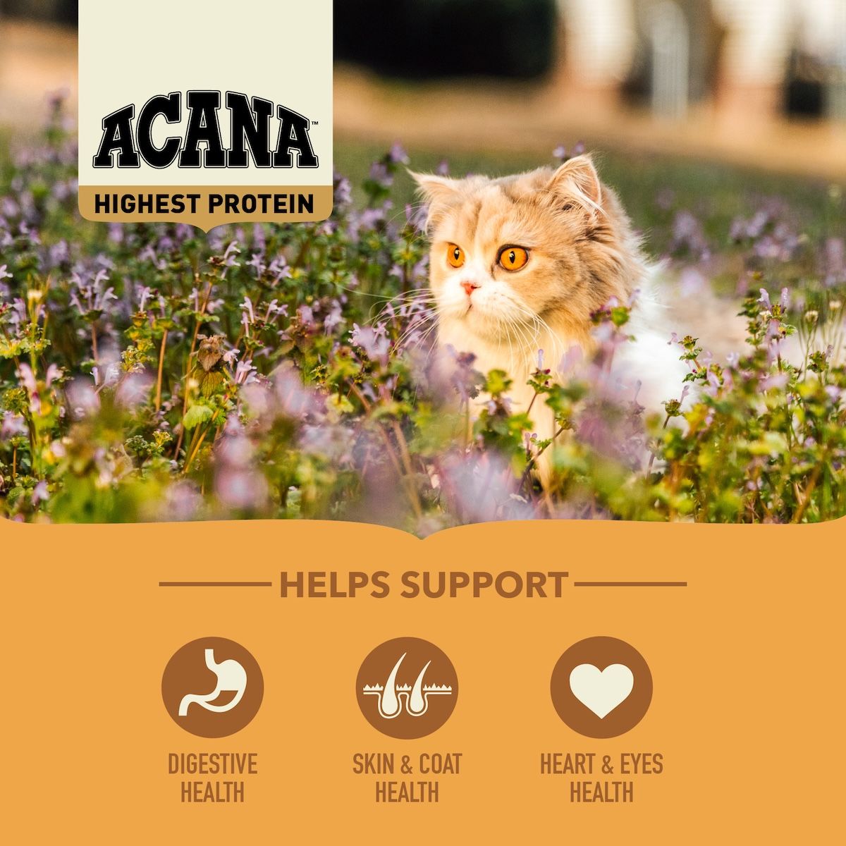 Acana Cat Wild Prairie | 1,8 kg