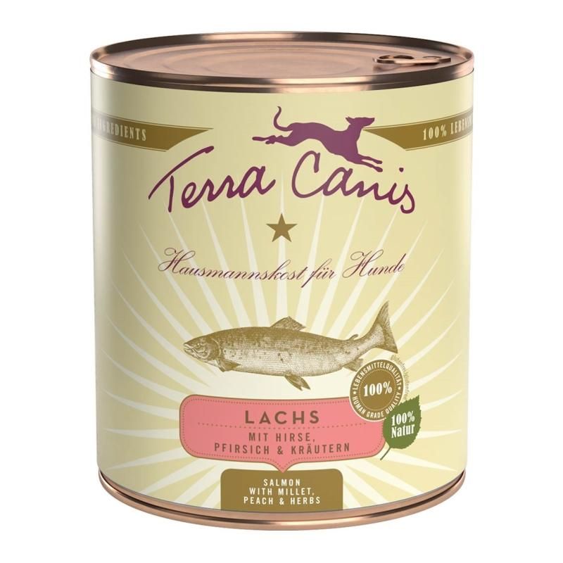 Terra Canis Classic - Lachs mit Hirse, Pfirsich & Kräutern | 6 x 800 g