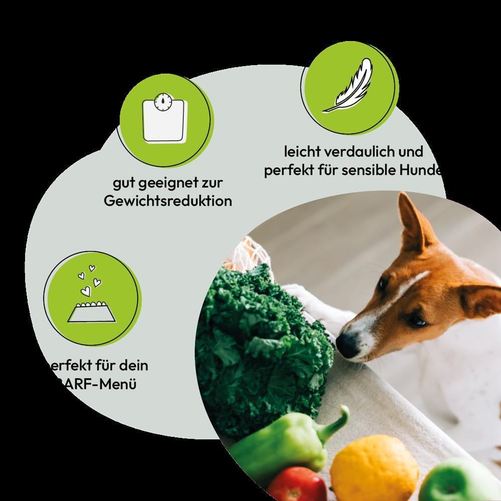 Grau Hund Kartoffel-Flocken | 500 g