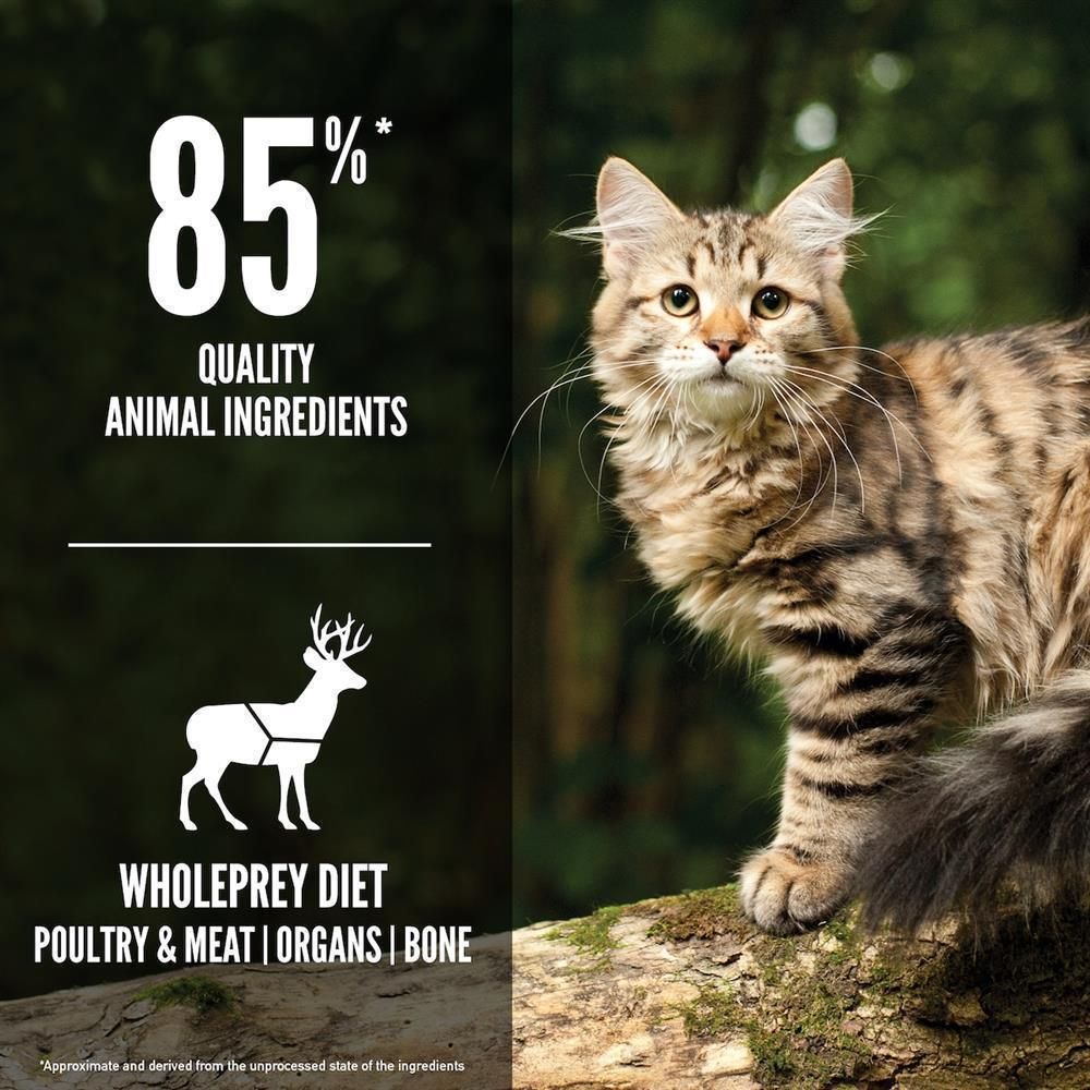 Orijen Cat Tundra | 4 x 340 g