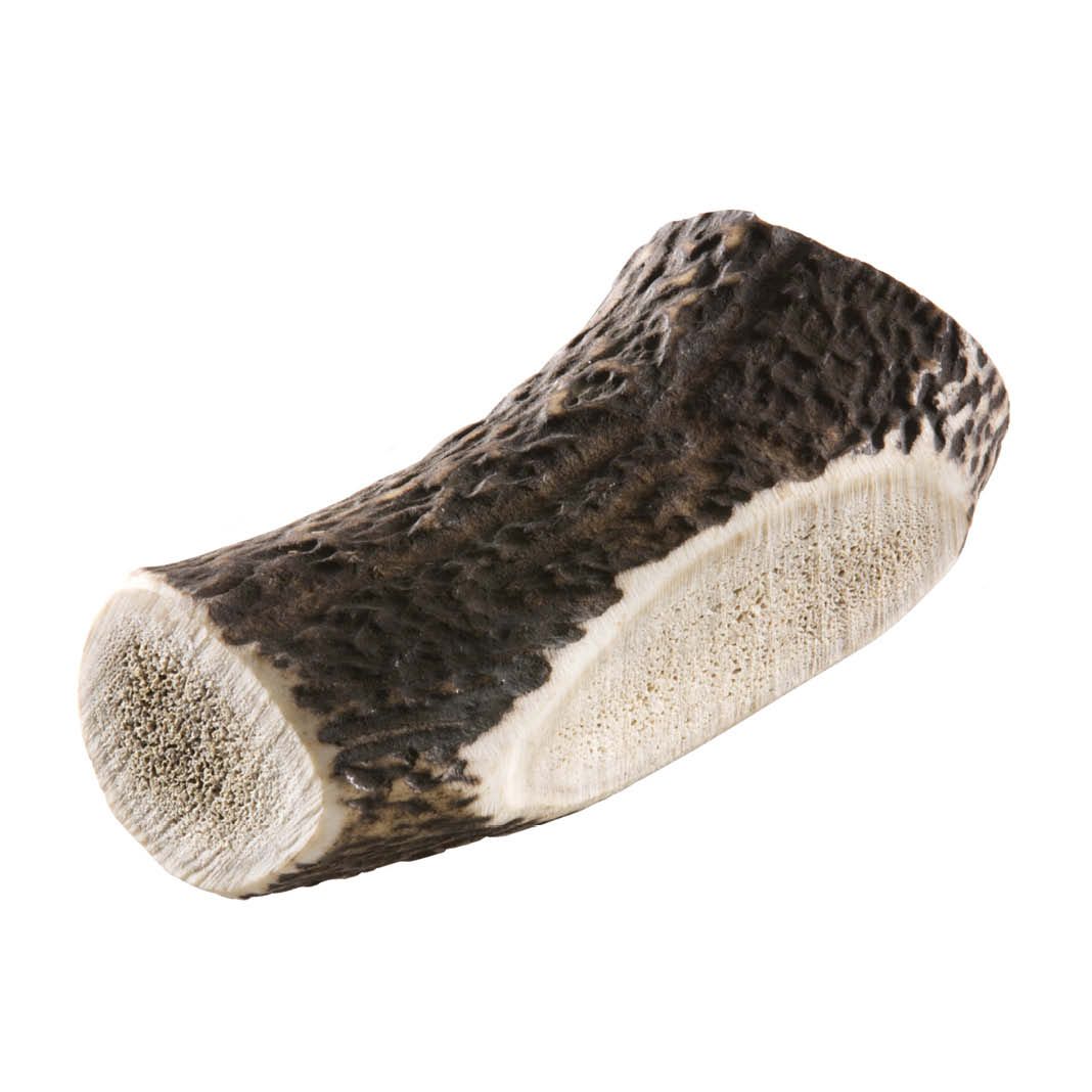 Chewies Rothirsch-Geweihstange | Größe L